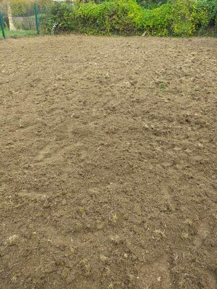 Préparation de terrain et semis de gazon sur St Laurent Blangy près d'Arras