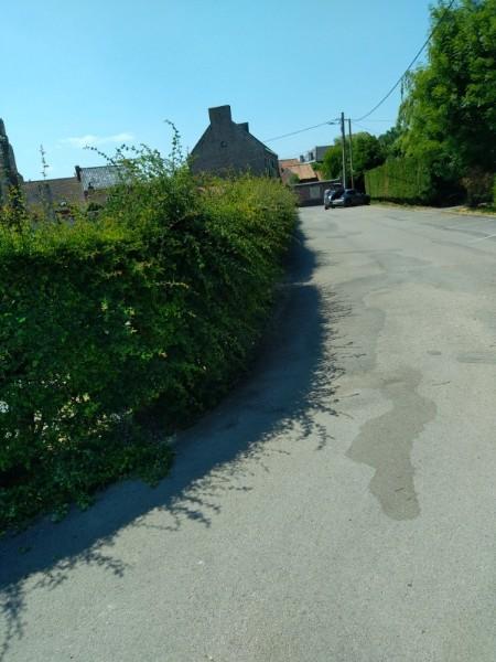 Taille de haie d'aubépine par votre paysagiste BRIDENNE Michaël à Volckerinckhove