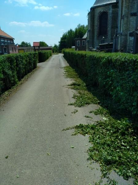 Taille de haie d'aubépine par votre paysagiste BRIDENNE Michaël à Volckerinckhove